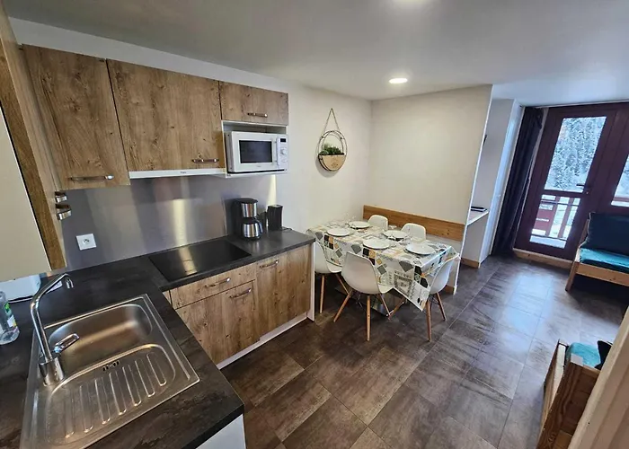 Renove Et Confort - Au Coeur De La Station - Animaux Admis - Fr-1-181-906 Appartement *