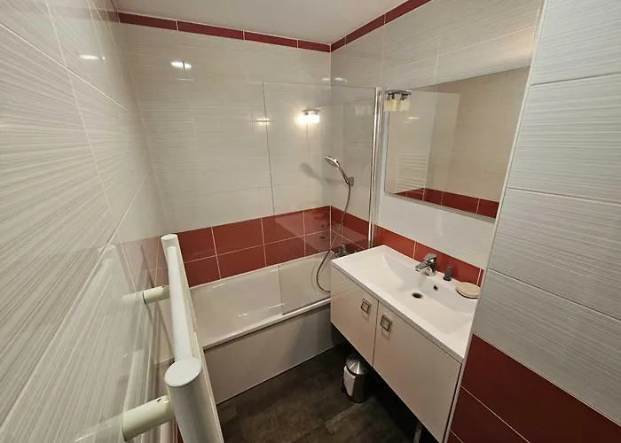 Renove Et Confort - Au Coeur De La Station - Animaux Admis - Fr-1-181-906 *