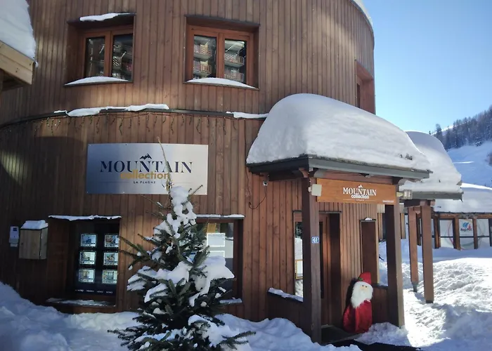 Renove Et Confort - Au Coeur De La Station - Animaux Admis - Fr-1-181-906 La Plagne